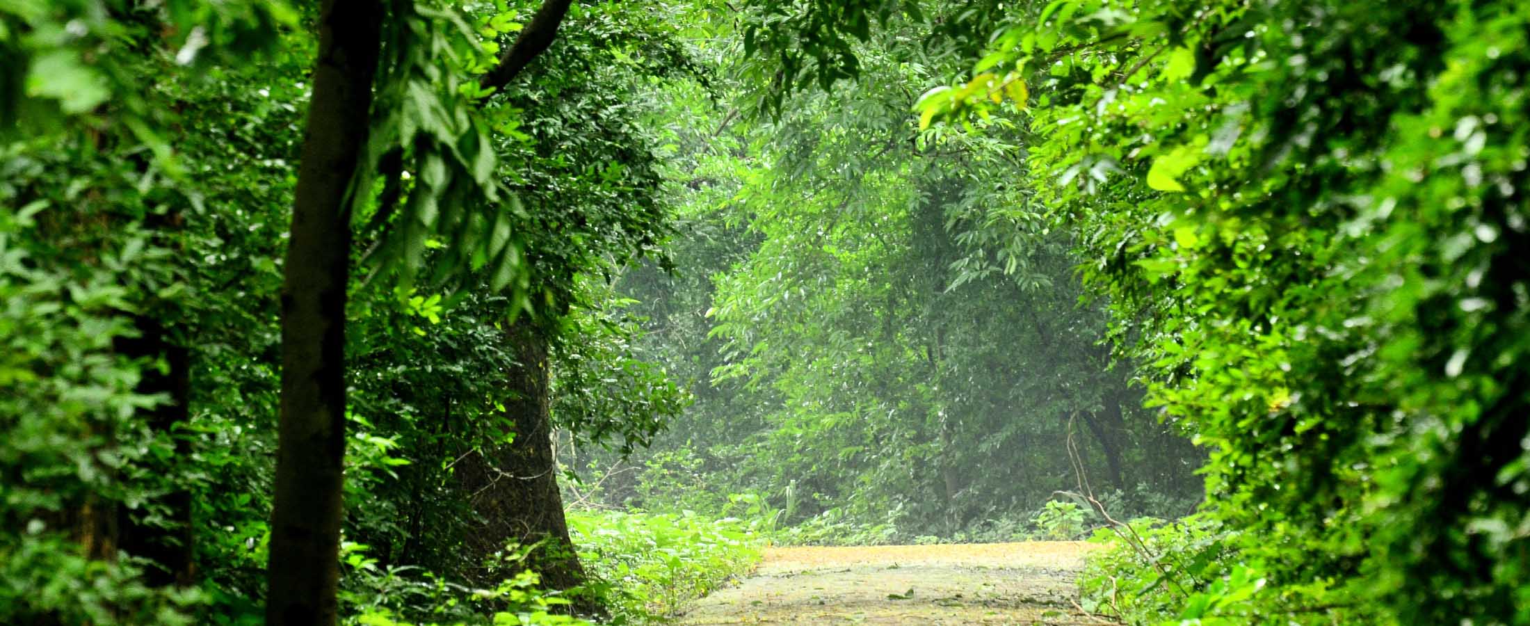 Maharashtra